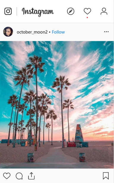 palms at beach