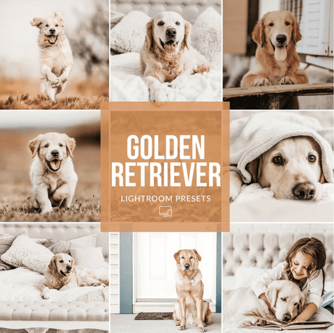 best lightroom presets for pet dog cat photography