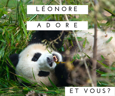 le bambou est associé au panda, mais aussi à Léonore Adore. Qui ne peut plus s'en passer. Du bambou donc, le panda elle le laisse vivre tranquillement dans son habitat. Il doit passer la moitié de son temps à digérer la cellulose du bambou. 
