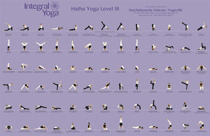 integral yoga