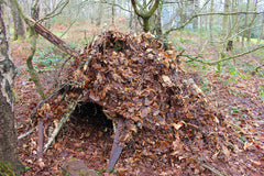 bivouac shelter building bushcraft