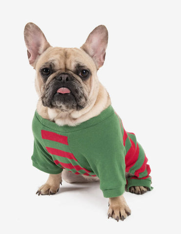 Cute puppy enjoying the holiday season in Leveret Christmas PJs