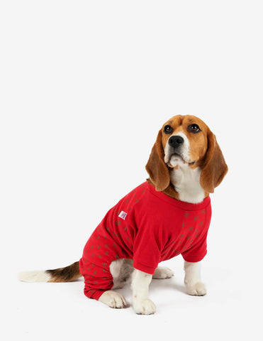 Leveret's Christmas collection for dogs - Comfort and style combined