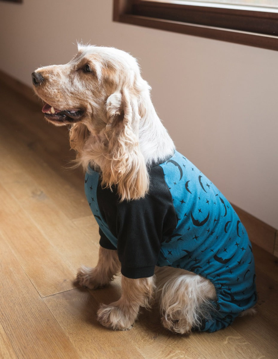 Matching Spaniels - Cropped Pajama Pants - Queen Blue