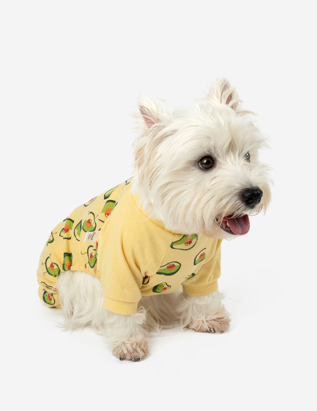 Dog's Avocado Pajamas – Leveret Clothing
