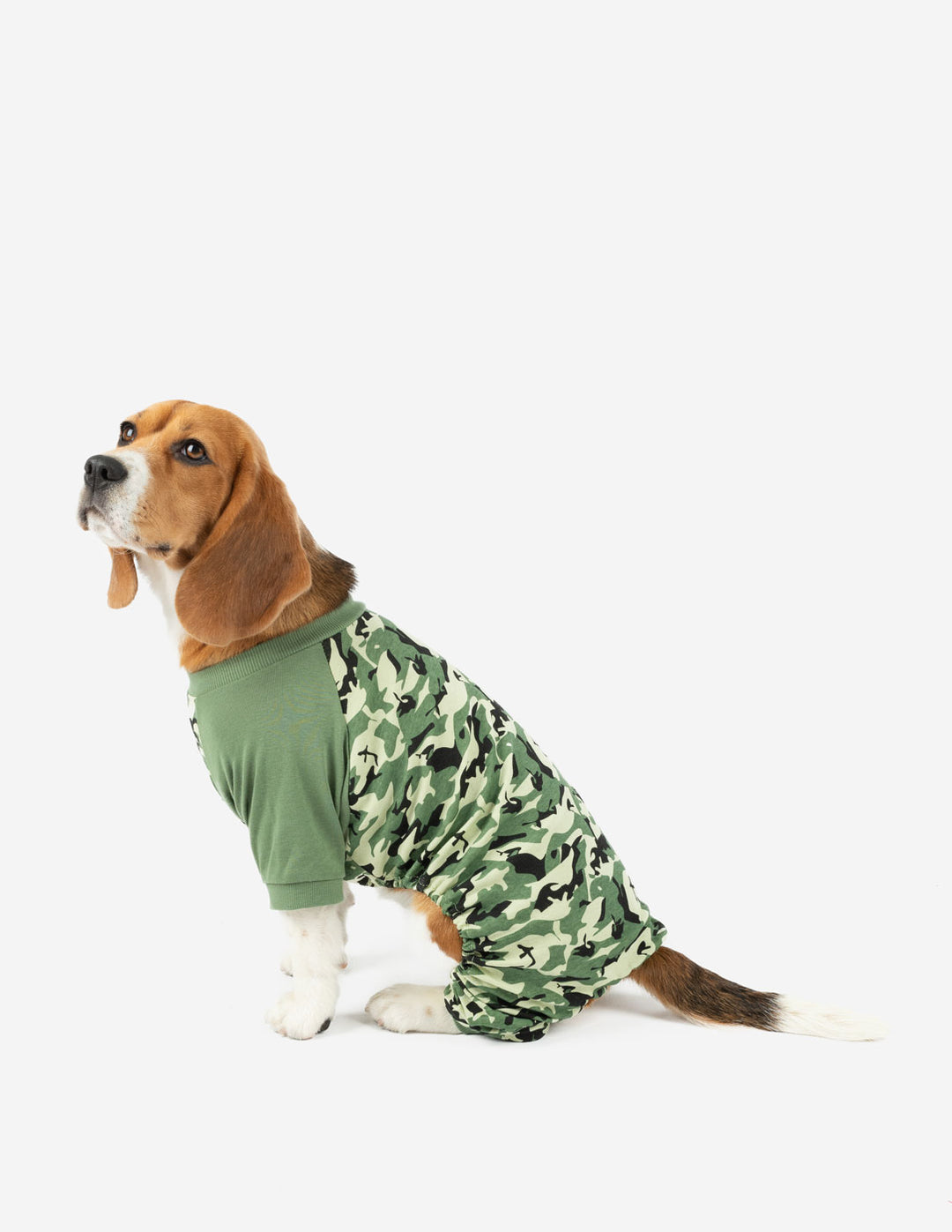 Dog Beige Bunny Pajamas – Leveret Clothing