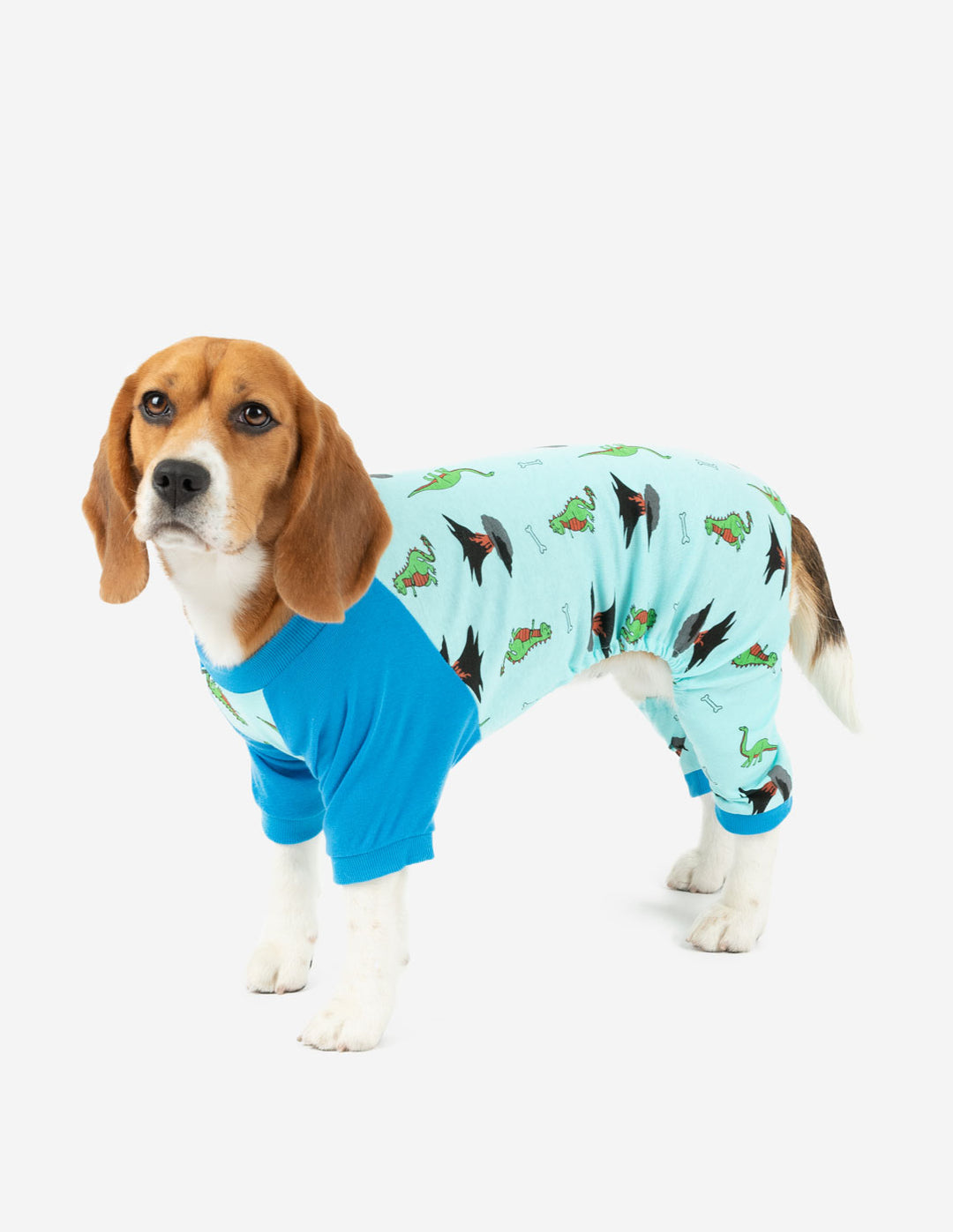 Big Dog Puppy Print Pajamas – Leveret Clothing