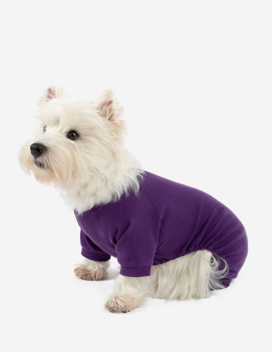 Dog's Solid Color Neutral Pajamas – Leveret Clothing