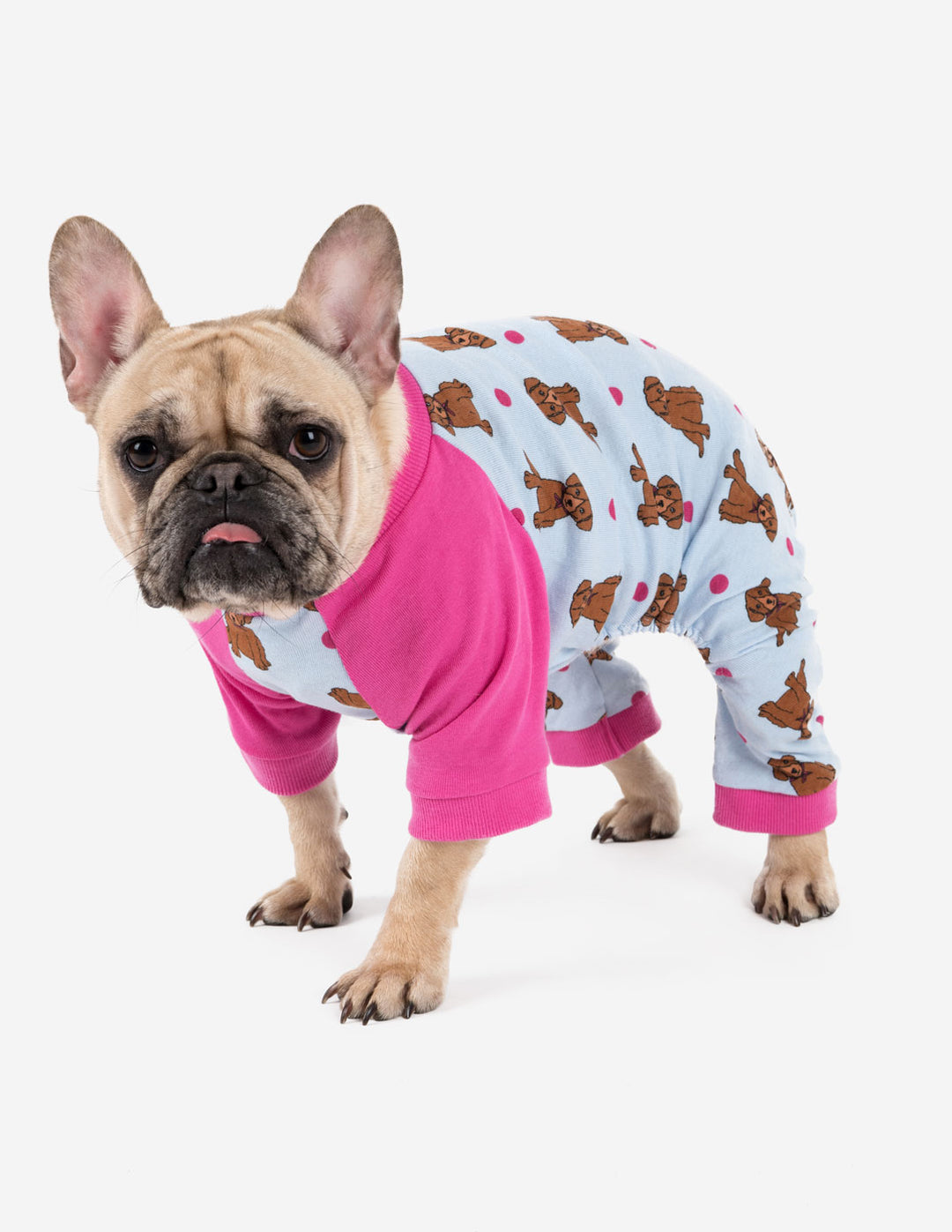 Big Dog Puppy Print Pajamas – Leveret Clothing