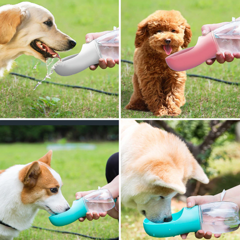 Garrafa de agua para cachorro