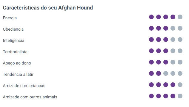 Tudo Sobre Afghan Hound