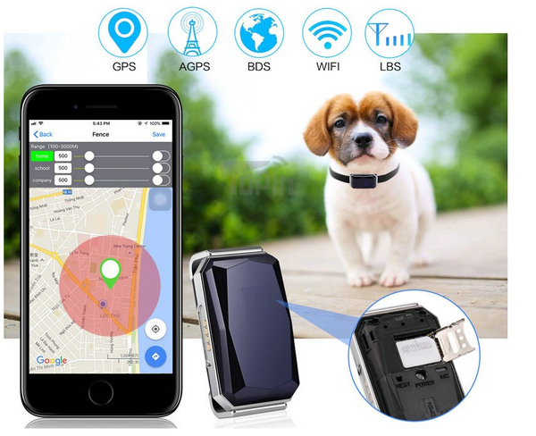 Coleira GPS para cachorro