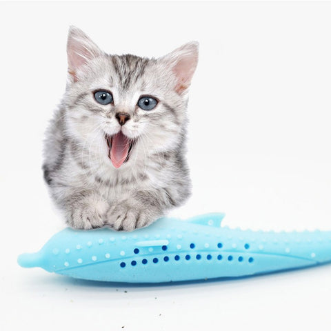 Limpeza de dentes de Gatos