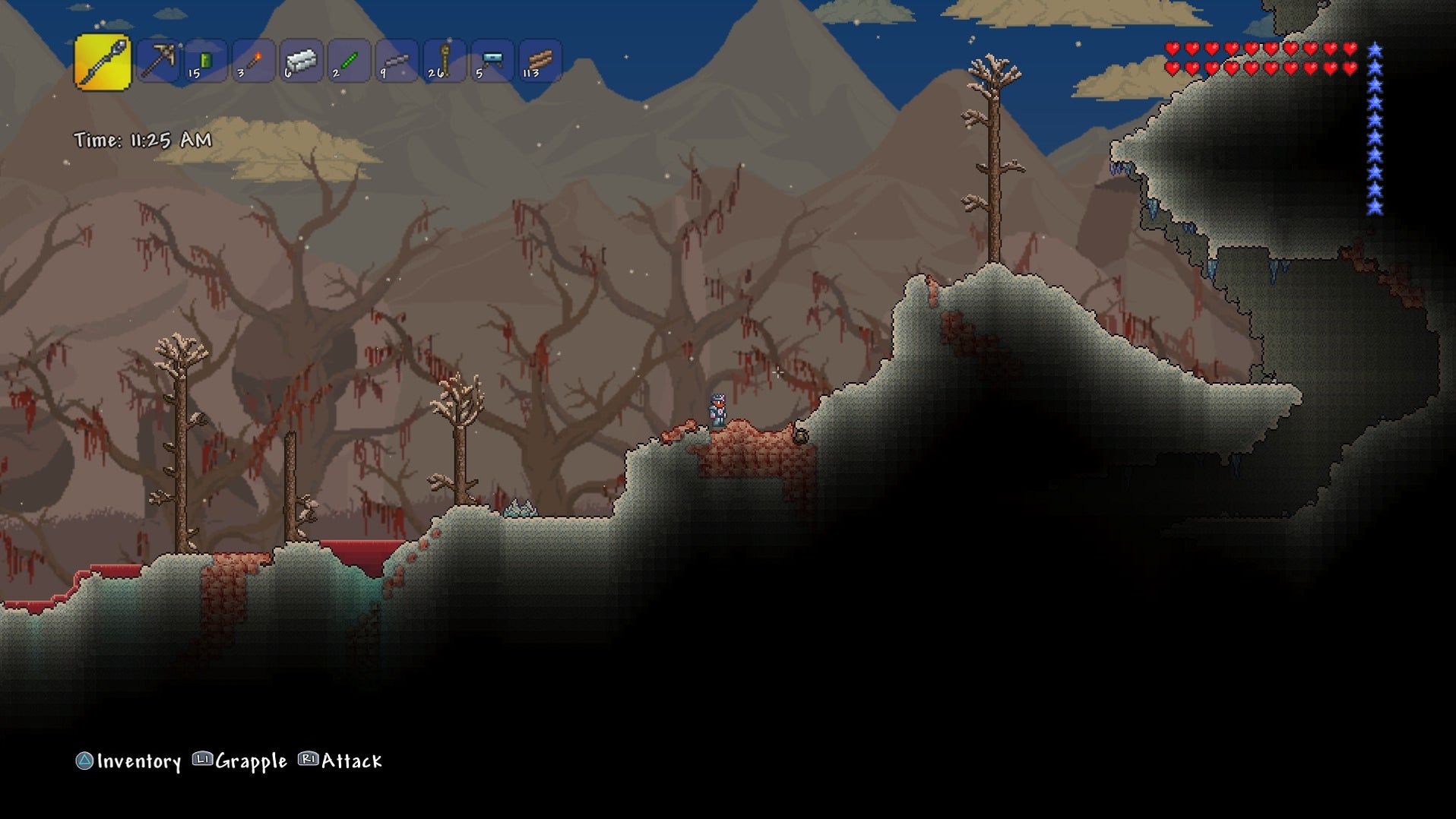 use ps4 controller on steam terraria