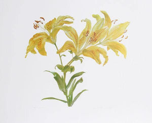 Tiger Lily Lithograph | Carol Ann Bolt,{{product.type}}