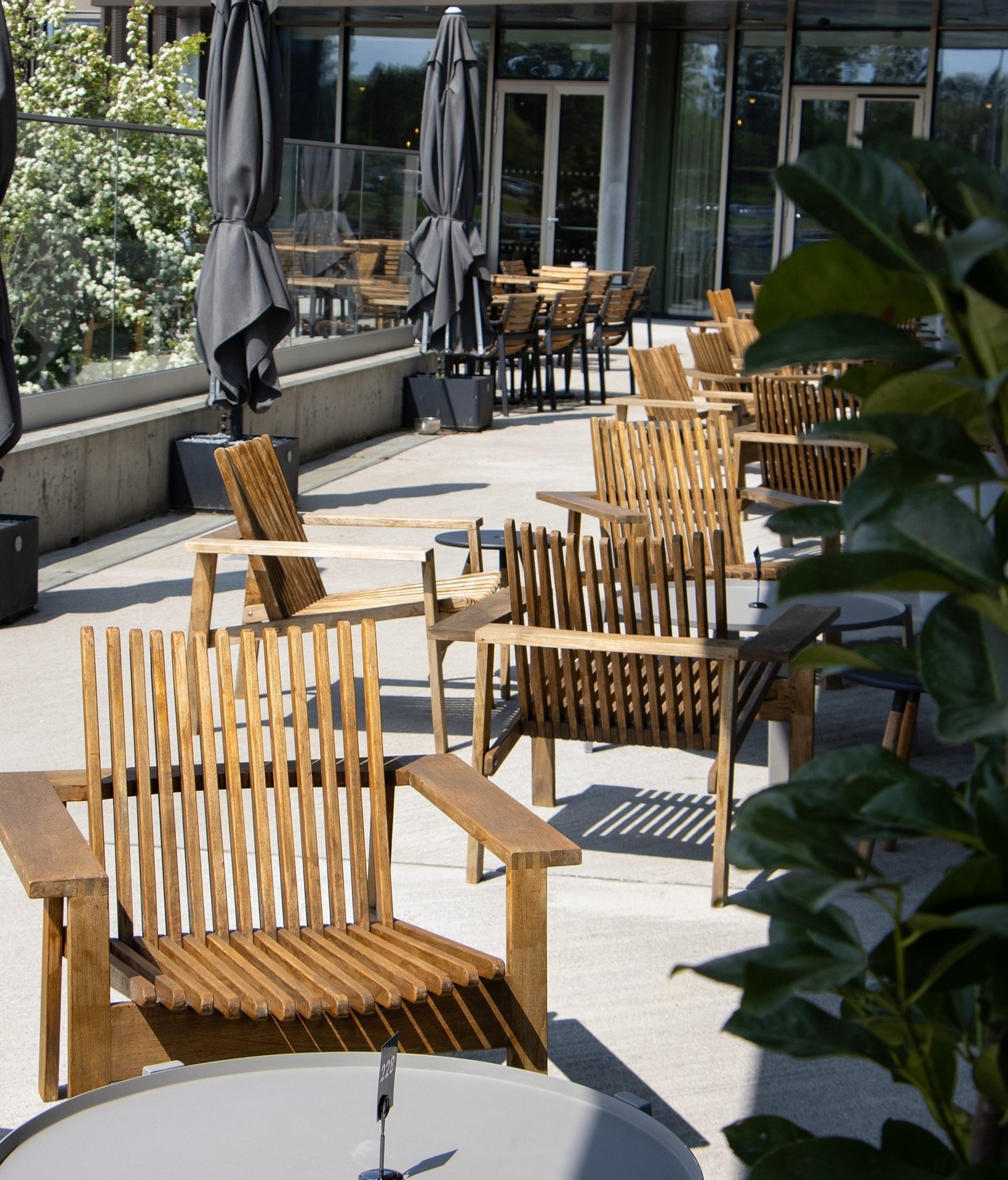 Cane-line Amaze lounge chairs made of teak close up at Alsik Restaurant