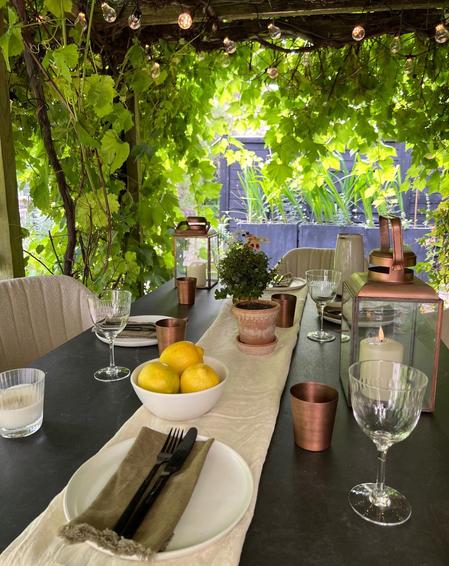 Cozy modern al freso dining under lush green pergola