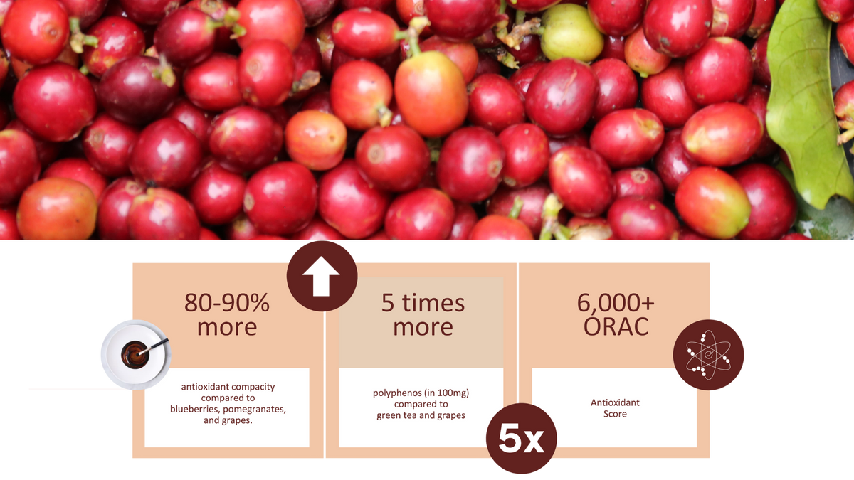 coffee fruit presentation (3).png__PID:2d468e27-74d0-4d98-bf12-ac23ad7ceb41