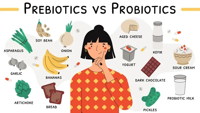 prebiotics-vs-probiotics.webp__PID:52d74d21-efc9-4dce-8d5e-27d3b919ff9a