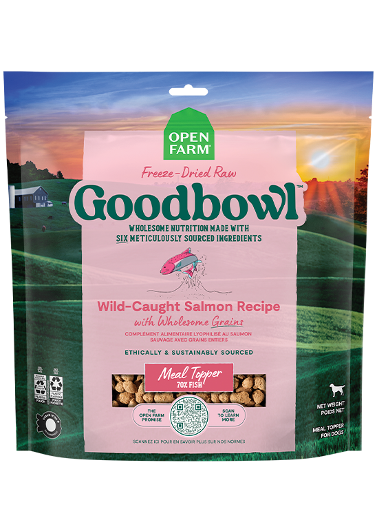 Goodbowl™ Wild-Caught Salmon Freeze Dried Raw Topper