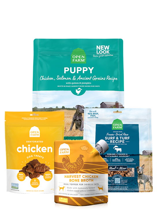 Ancient Grains Puppy Pack