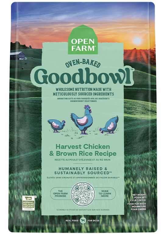 GoodBowl™ Harvest Chicken & Brown Rice Recipe for Dogs