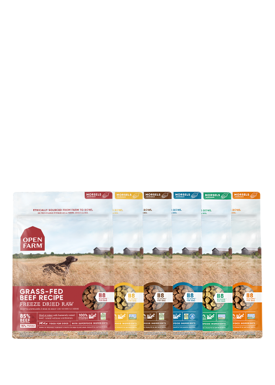 Freeze Dried Raw Variety Pack