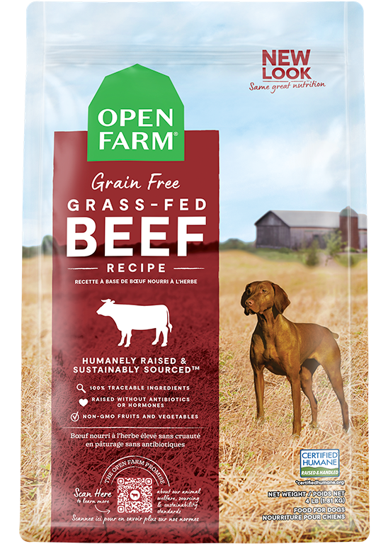 Nourriture sèche pour chiens sans grains au bœuf nourri à l'herbe