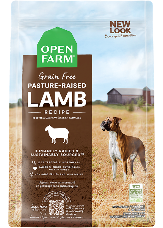 Pasture-Raised Lamb Grain-Free Dry Dog Food