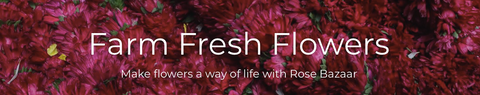 Rose Bazaar, farm fresh flowers, home decor, puja/pooja flowers, subcription box, home delivery
