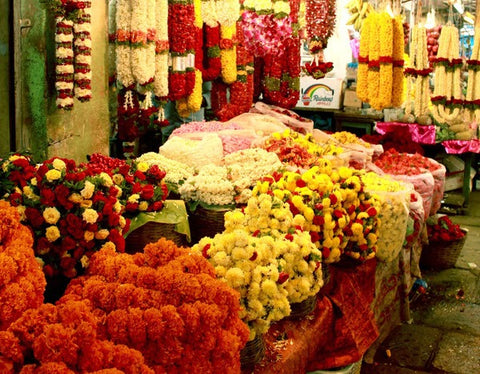 Rose Bazaar, kr market, puja/pooja flowers, fresh flowers, sevanthi/chrysanthemums, jasmine/mallige, marigold, paneer rose, bud rose, mola/mala/garland, subscription, home delivery, 