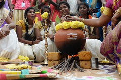 Puja, Prayer Services, Offerings for prayers, Pongal deities, Rose Bazaar