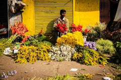 Rose Bazaar, kr market, puja/pooja flowers, fresh flowers, sevanthi/chrysanthemums, jasmine/mallige, marigold, paneer rose, bud rose, mola/mala/garland, subscription, home delivery, 