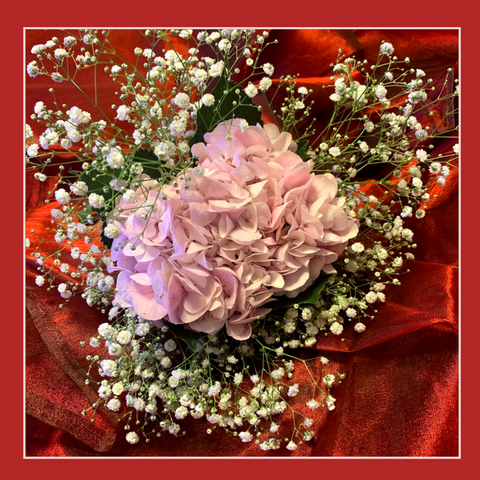 Rose bazaar, Valentine’s Day flowers, Love, celebrations, rose day, Roses, Gifts,chrysanthemums, lilies/liliums, Carnations,