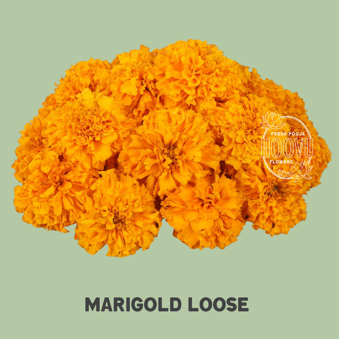 Marigold Loose Flowers 250 Grams One Time Rosebazaar India