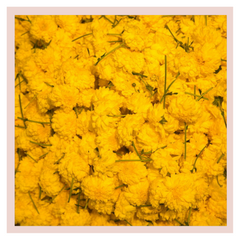 Varamahalakshmi, rose bazaar, puja/pooja box, flower delivery, home delivery, marigold, sevanthi/chrysanthemum, jasmine/mallige, roses, lotus, loose flowers, malas/garlands, arches, thomala/gajjamala, moola, auspicious, farm fresh, special package, 