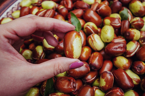 jojoba seeds drying 