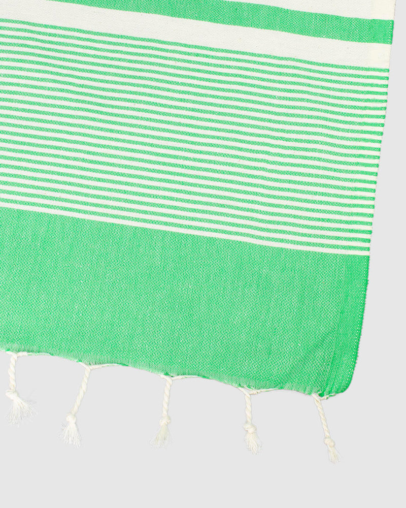 Thin Turkish Dog Towel - Light Green