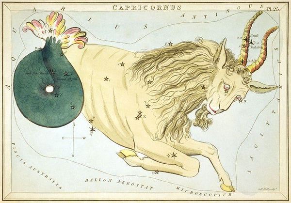 Capricorn Symbol - Sea Goat