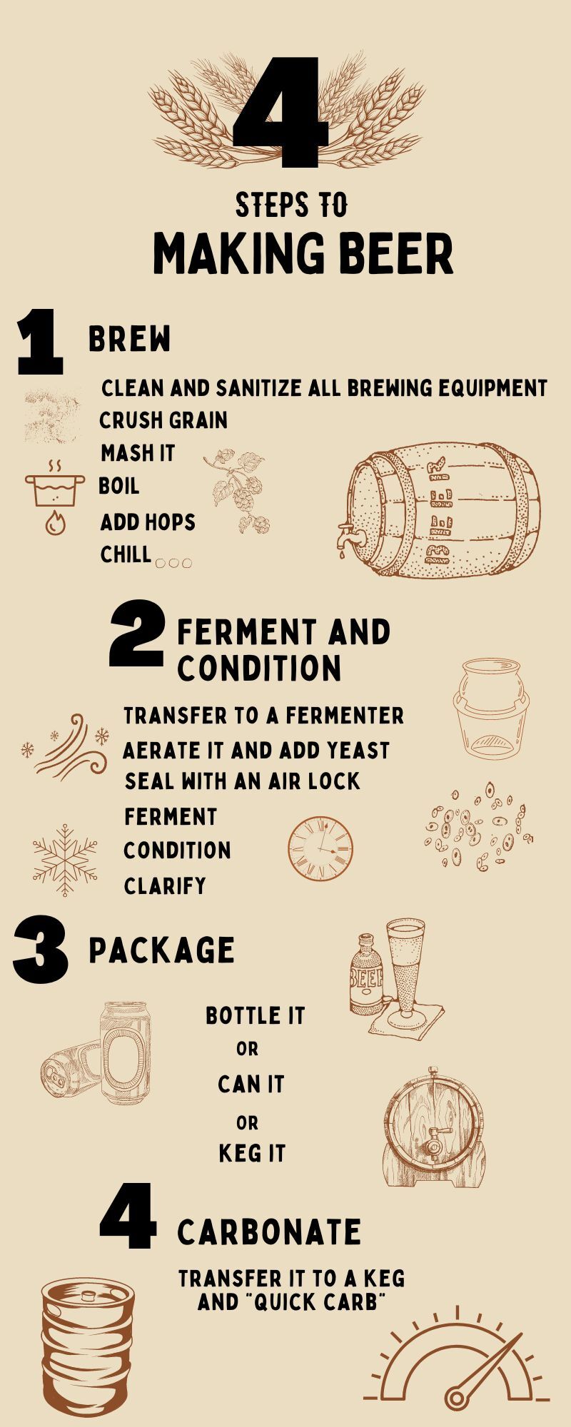 4 steps to making beer infographic