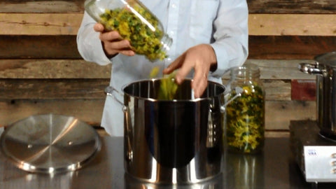 Adding dandelions to pot for dandelion tea