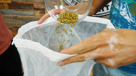 adding dry hops to a mesh bag