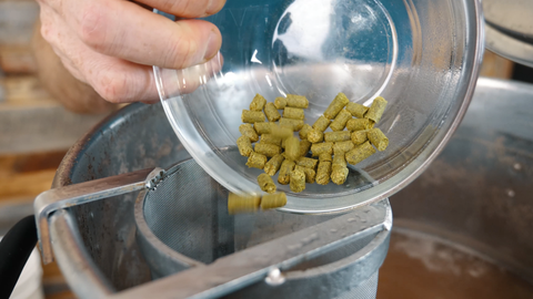 adding huell melon hops