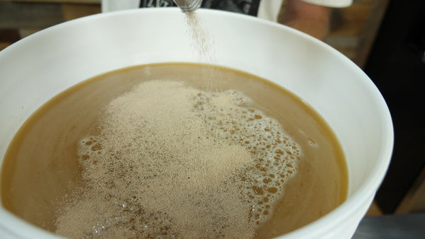 pitching yeast into cider