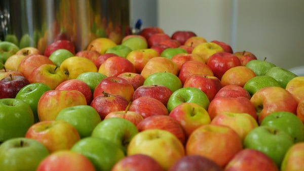 apples for hard cider