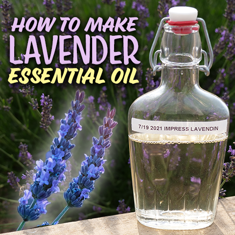 How to Make Essential Oil