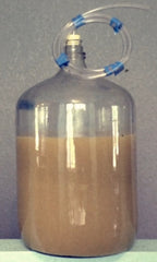 6.5 gallon glass carboy with corn whiskey mash