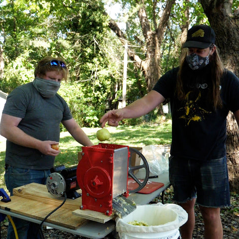 throwing apples into motorized apple crusher