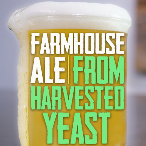 Farmhouse ale recipe from harvested yeast
