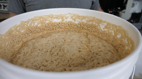 wort at high krausen - if it looks like this it's still fermenting